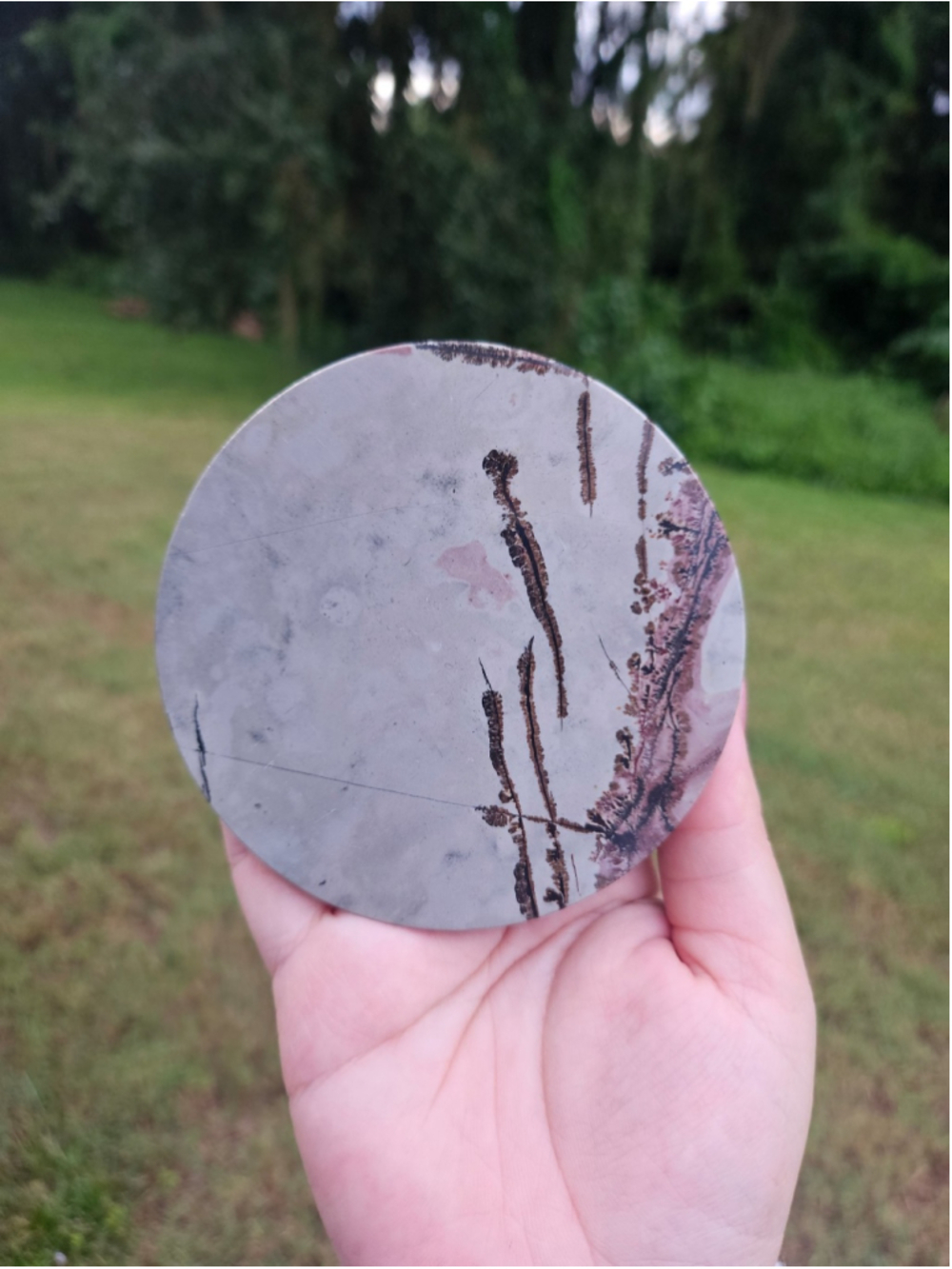 Picture jasper circle slab 3.9 in